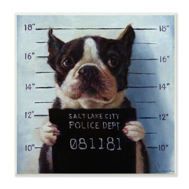 Boston terrier shop novelty items